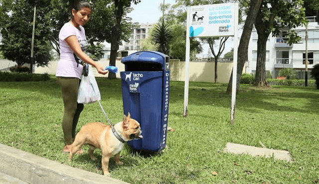 Miraflores aprueba Ordenanza que promueve la convivencia amigable con los animales domésticos. Foto: Difusión