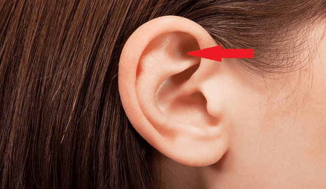 YouTube viral: descubren espeluznante criatura dentro del oído de una mujer [VIDEO]