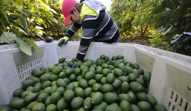 Minagri reforzará el acceso de productos del agro peruano a países del Asia