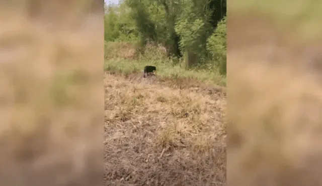 Desliza hacia la izquierda para ver más del video viral. Fotocaptura: YouTube