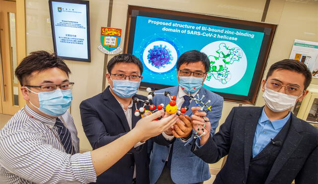 Los expertos resaltaron su descubrimiento en medio de la pandemia del coronavirus. Foto: Winson Wong