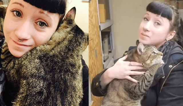 YouTube viral: gato tiene emotiva reacción al saber que será adoptado [VIDEO]