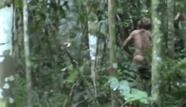 Hallan al último sobreviviente de una tribu aislada en el Amazonas [VIDEO]
