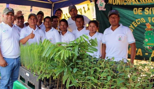 Vraem: Proyectan recuperar 600 hectáreas de suelos degradados por el narcotráfico y la tala ilegal