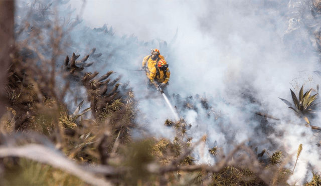 Bomberos luchan sin descanso contra un incendio forestal en Ecuador [VIDEO]