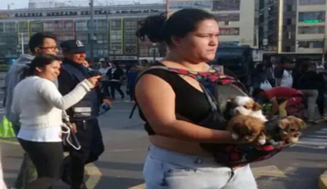Continúa la venta ilegal de perros en el Centro de Lima 