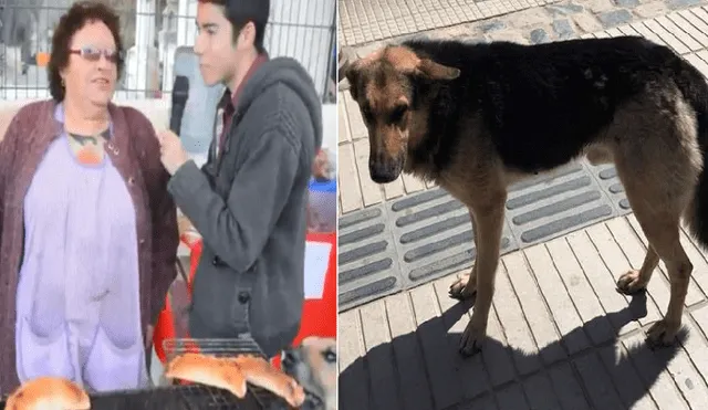 Facebook: la triste historia de ‘Orejón’, el perro que hurtó una empanada en plena entrevista [VIDEO]
