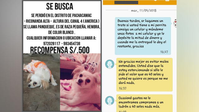 Pachacámac: piden dinero a familia a cambio de mascota perdida