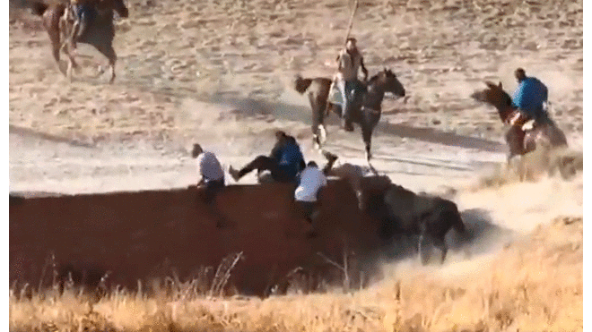 Hombre muere al recibir cornada en festival de encierro de toros en España. Foto: Captura