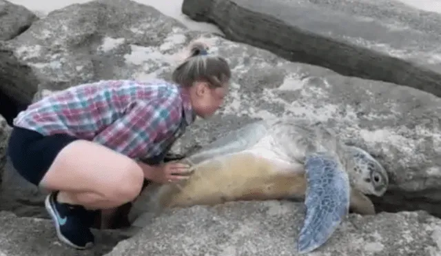 Jóvenes encuentran misteriosa criatura atrapada entre las rocas.