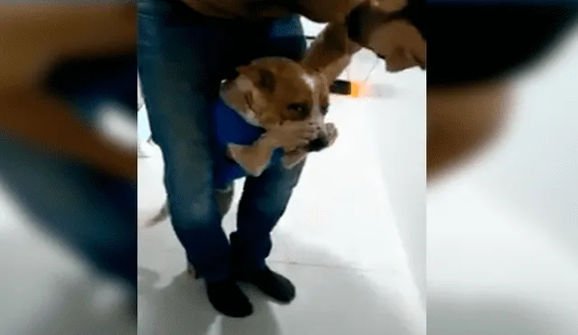 En Facebook, un perro se tapó el hocico para evitar tomar sus medicinas que le recetó su veterinario.
