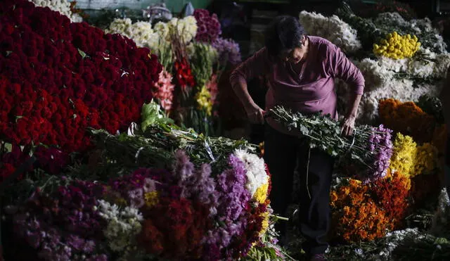 Día de la Madre: Cientos de personas acuden a Mercado de Flores [FOTOS]