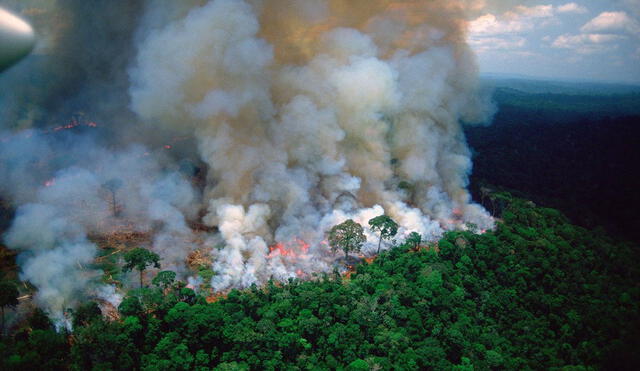 Partes de la Amazonía sufren incendios, tanto de origen natural como humano. Foto: EcoHealth Alliance