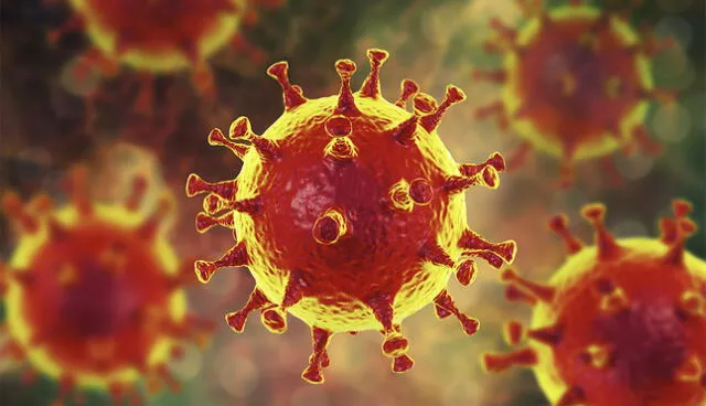 Imagen de computadora del coronavirusHasta el momento no hay un medicamento que elimine a la COVID-19. (Foto: AARP)