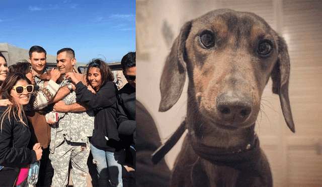 En Instagram hallan a perro 'salchicha' en desierto tras perderse en aeropuerto [FOTOS]