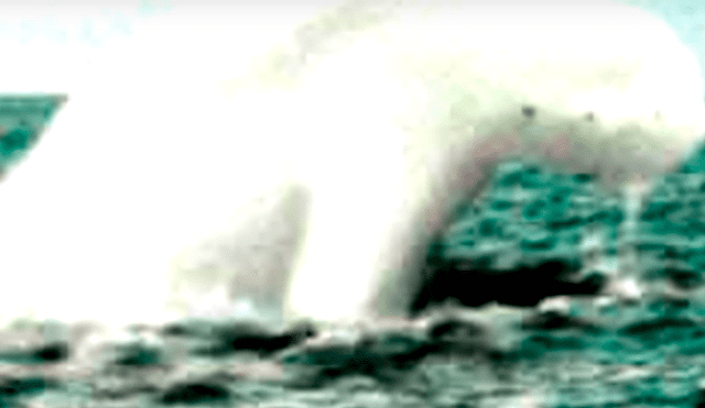 YouTube viral: gigantesca criatura marina embiste barco de Japón y miles quedan impactados [VIDEO]