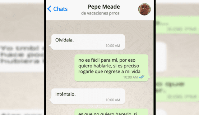 WhatsApp Viral: Enrique Peña Nieto y Angélica Rivera rompen su relación en chat parodia [FOTOS]