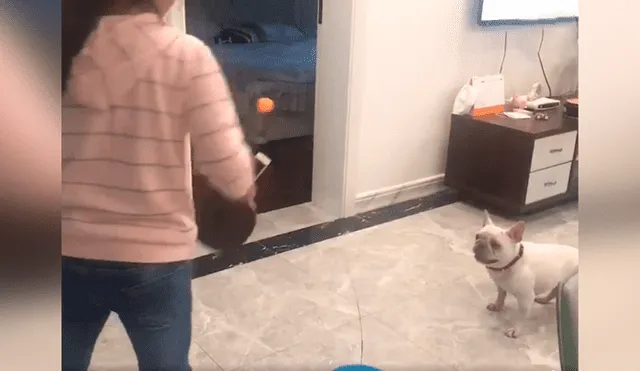 Desliza las imágenes para conocer el amoroso momento entre una niña junto a su adorable mascota. Foto: Captura.