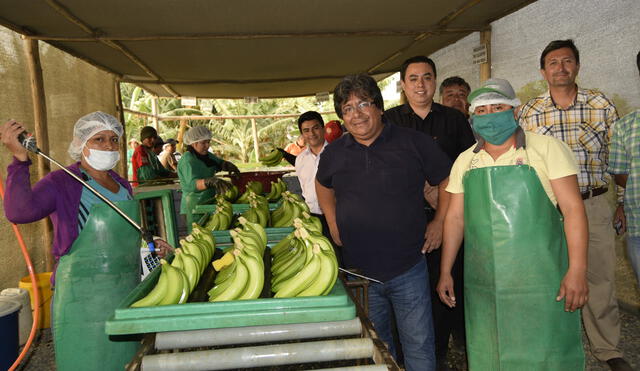 La Libertad: Exportan 30 mil kilos de banano orgánico por semana