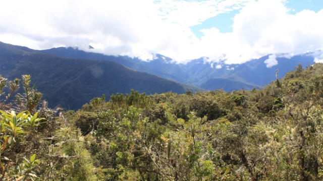 Cusco: identifican cinco zonas de vida en Pichari