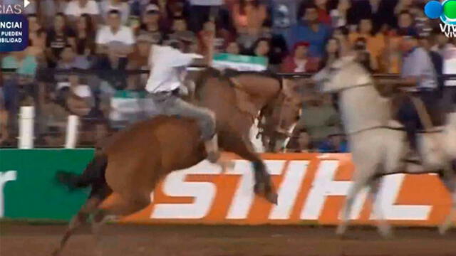 La terrible muerte de un caballo genera polémica y rechazo en Argentina [VIDEO]