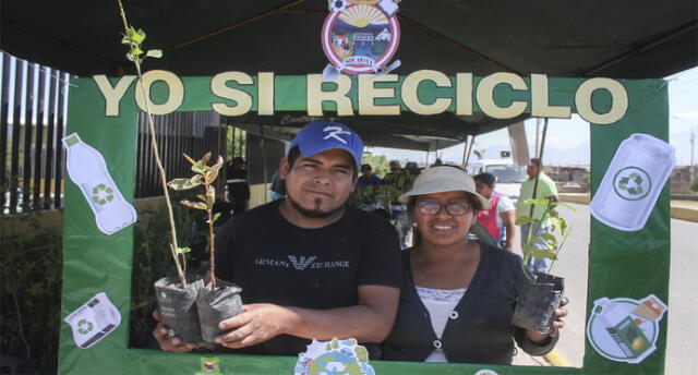 Municipalidad de Socabaya canjeará material reciclable por plantas.