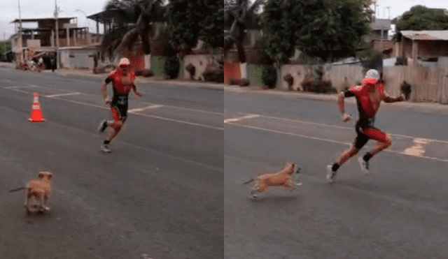 Facebook: perro interrumpe maratón al querer morder a un atleta quien reacciona de manera graciosa