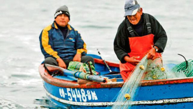 Capacitan a emprendedores de Huánuco para producción de peces amazónicos