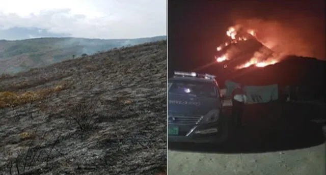 En Cusco, controlan incendio que arrasó 52 hectáreas de pastizales