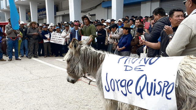 Rechazo. Población pide salida en burro de alcalde Quispe.