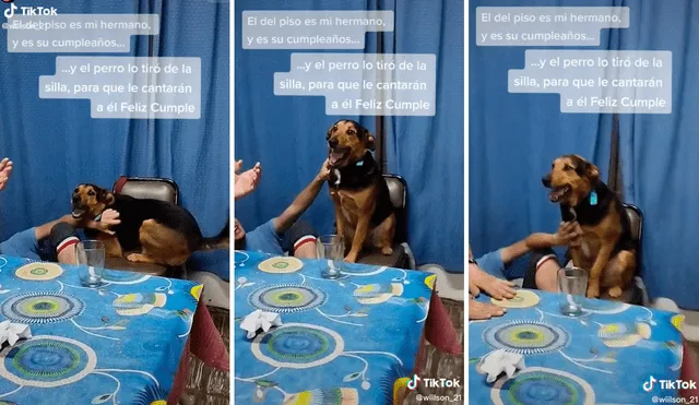 El perrito quiso ser el homenajeado y no dudó en despojar a su dueño de su lugar. Foto: composición LR/captura de TikTok/@Emiwilson