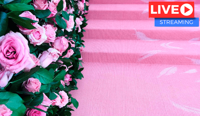 MET Gala 2019: Revive los mejores 'looks' de la alfombra rosa [VIDEO]