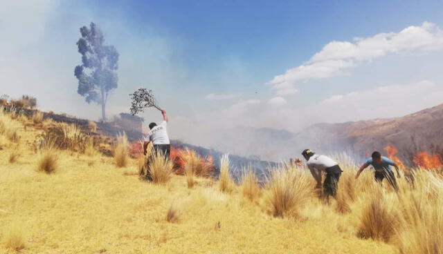 Cusco. Incendio forestal dejó a su paso desolación y muerte. Foto: La República