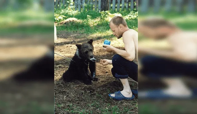 Crió a oso como mascota por cuatro años, pero animal se lo comió a él y a su perro