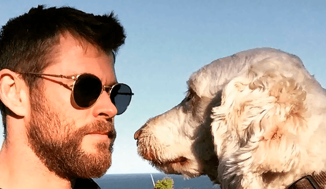 Chris Hemsworth felicita a su perro Sunny por aparecer en la portada de la revista GQ