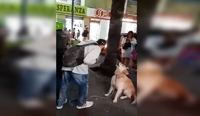 En Facebook, un joven ambulante realizó un espectáculo en la calle junto a su perro que impactó con su acto.