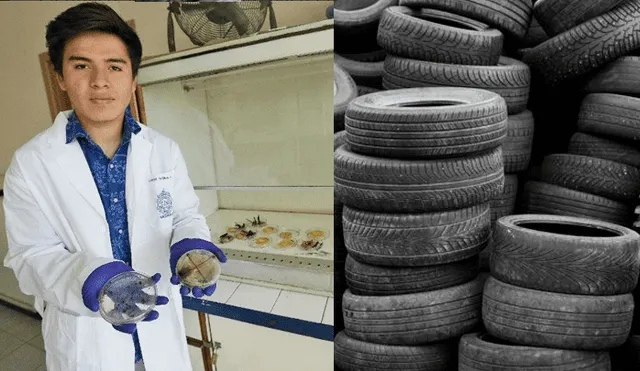 Chile: joven de 19 años descubrió bacteria que come neumáticos 