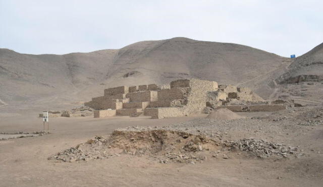 Reinician excavaciones en zona arqueológica de El Paraiso