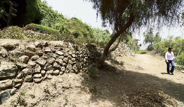 11:11 en Huampaní: presentan el hallazgo de un antiguo camino wari