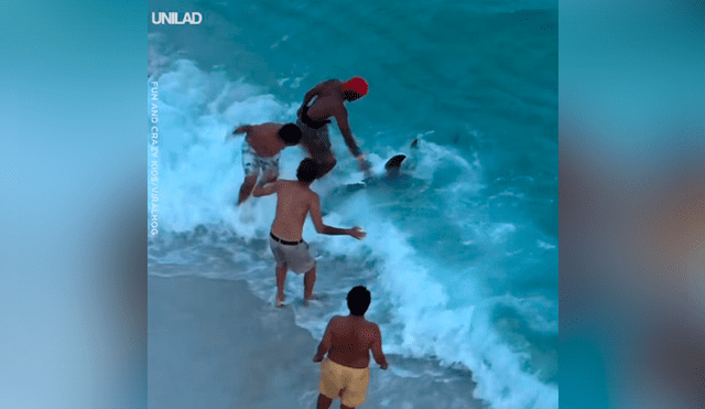 Hombres arrastran hambrienta criatura del mar, le sacan anzuelo atravesado y sucede lo increíble [VIDEO] 