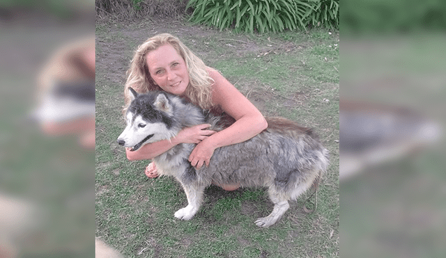 Facebook viral: perro fue robado y seis años después su familia logra encontrarlo [VIDEO] 
