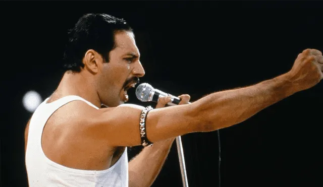 Facebook viral: imitador de Freddie Mercury grita 'EO' en pleno concierto de Paul McCartney [VIDEO] 