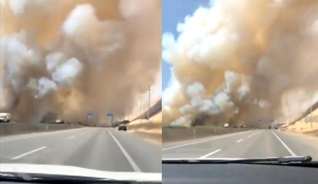 Personas que viven en el distrito de Grocio Prado señalaron que es la tercera vez que se produce un hecho similar en los humedales. Foto: captura de Canal N