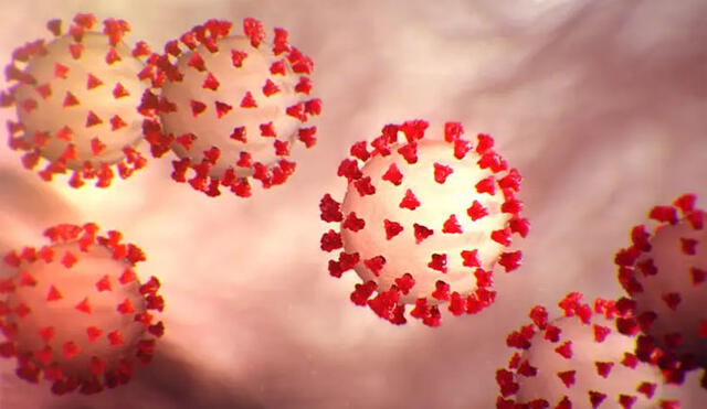 Representación del SARS-CoV-2, el coronavirus que ha causado la actual pandemia. Imagen: CDC.