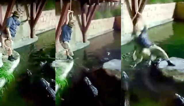 Vía YouTube: Un show de 'Indiana Jones' casi termina en tragedia tras caída de hombre a estanque de caimanes