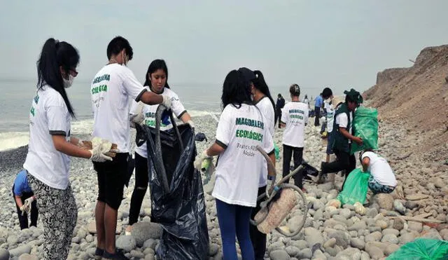 Magdalena del Mar: voluntarios realizarán limpieza de playas 