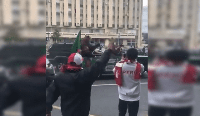 Twitter: Oso toca trompeta y sorprende a hinchas peruanos en Rusia [VIDEO]