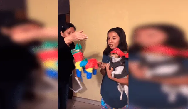 En YouTube, una joven organizó una fiesta en su casa para festejar el día especial de su querida mascota.