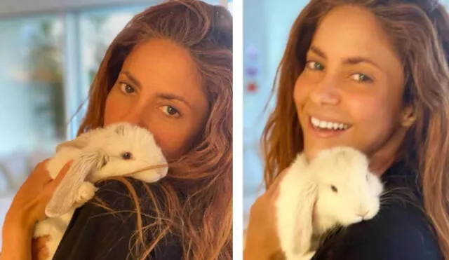 Shakira presenta a su nueva mascota Max Piqué Mebarak en Instagram y fans quedan encantados