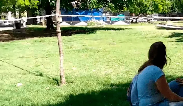 Perro muere al recibir descarga eléctrica mientras paseaba con su dueña por una plaza [VIDEO]